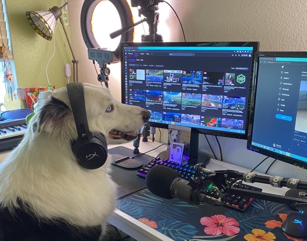 Rocket league oh my deals dog